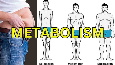 Metabolism என்றால் என்ன?