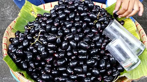 நலம் பல தரும் நாவல் பழம்!