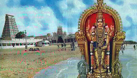 செய்வினைகளை விரட்டும் திருச்செந்தூர் பன்னீர் இலை விபூதி!