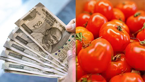 தக்காளி விற்று லட்சாதிபதியான மகாராஷ்டிர விவசாயி!