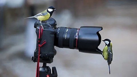World Photography day