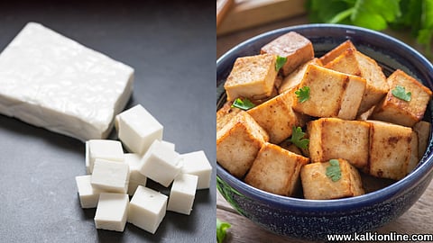 Fake Paneer and Real Paneer