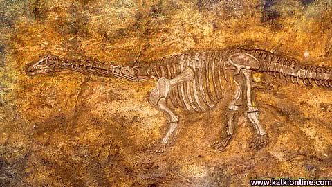 A dinosaur that lived in India.