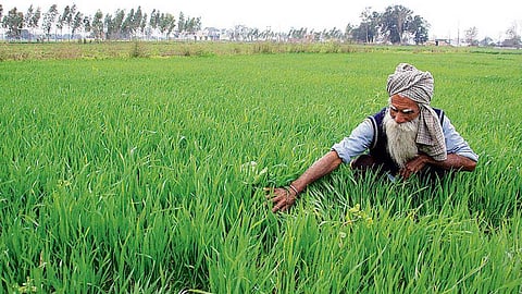 பயிர் காப்பீட்டு திட்டம்: 57 ஆயிரம் கோடி லாபம் ஈட்டிய நிறுவனங்கள்: முழுமையான அலசல்!