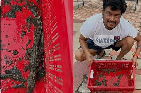 பாலையா பேரன் வீட்டில் முதலை குட்டி