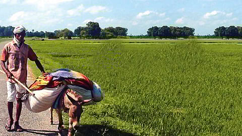 இன்பமும்... துன்பமும்...!