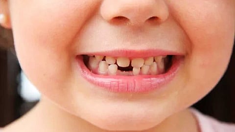 பல் ஓர் இயற்கை வளம்!