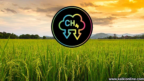 Agriculture and climate change.