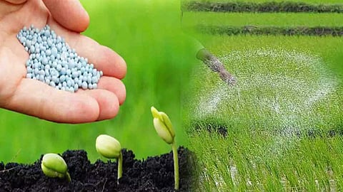 வேளாண் விதைகளை பரிசோதனை செய்துகொள்ள அழைப்பு!