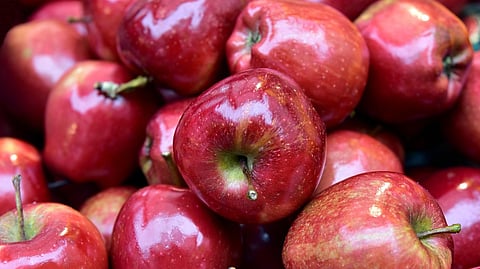 Apple