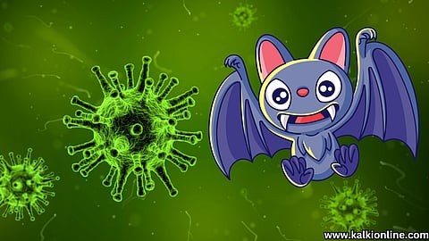 Nipah virus