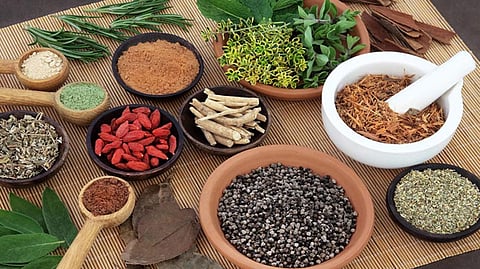 மருந்தாகும் மூலிகைகள்!