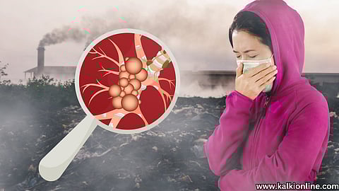 How air pollution causes cancer?