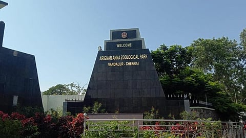 வண்டலூர் பூங்கா