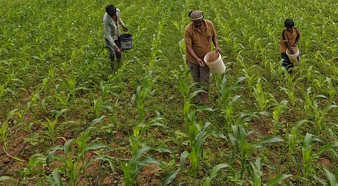 விவசாயிகளுக்கு பயனளிக்கும் டிஎன்ஏயு அக்ரி கார்ட் இணையதளம்!