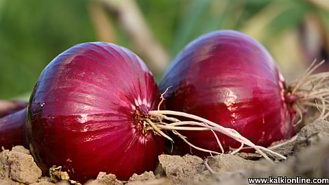 Benefits of eating raw onion.