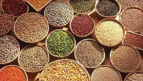 விவசாயிகளுக்கு கைகொடுக்கும் சிறுதானிய சாகுபடி!