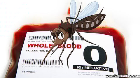'O' blood group and mosquito.