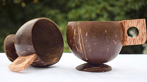 தூக்கி எறியப்படும் கொட்டங்குச்சி!
மாற்றி யோசி... பலனை அனுபவி!