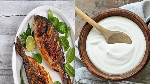 தயிரையும் மீனையும் சேர்த்து சாப்பிடக் கூடாது: ஏன் தெரியுமா?