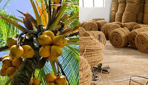 தென்னை விவசாயிகளுக்கு எதிரான நடவடிக்கையை திரும்பப் பெற்றது தமிழ்நாடு மாசு கட்டுப்பாடு வாரியம்!