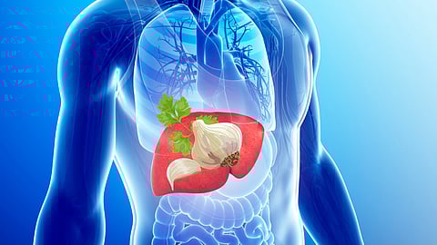 Liver Protecting Garlic Juice