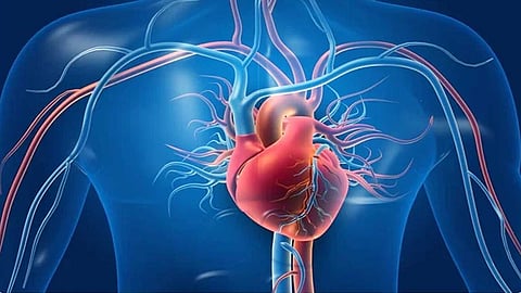 நமது இதயம் பற்றி இதெல்லாம் தெரியுமா?