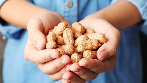 சொத்தை நிலக்கடலை சொல்லும் பாடம்!