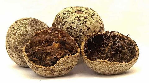 விளாம்பழ (Wood Apple) ரெசிபிஸ்!