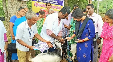 மழைக்கால கால்நடைகள் பாதுகாப்பு: விவசாயிகளுக்கு வேளாண் துறை அறிவுரை!