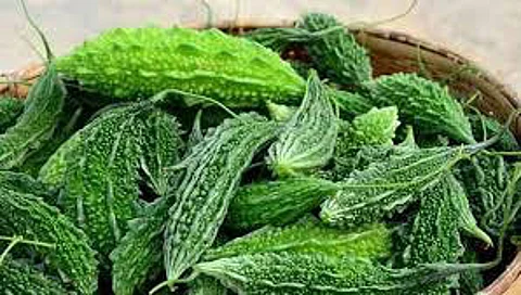 Medicinal properties and health benefits of cantaloupe