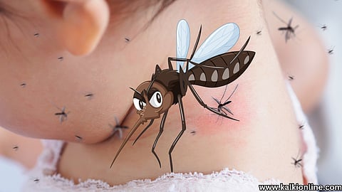Scientific solutions to mosquito bites!