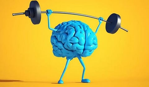 Do you know about human software brain?