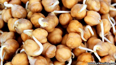 Benefits in sprouted chickpeas?