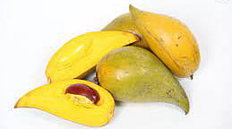 Medicinal vegetarian egg fruits