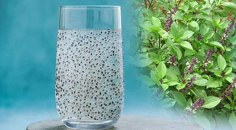 Do you know the benefits of eating basil seeds soaked in water?