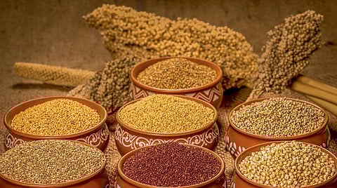 Abandoned plant species; Changing future food production