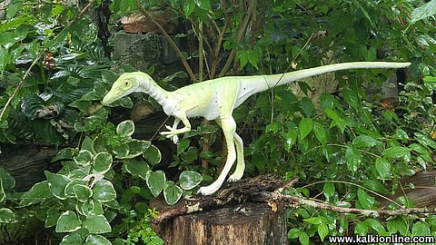 New Dinosaur Footprint Revealed!