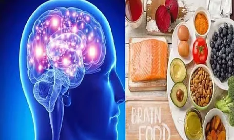 மூளை சுறுசுறுப்பாக செயல்பட உதவும் உணவுகள்!