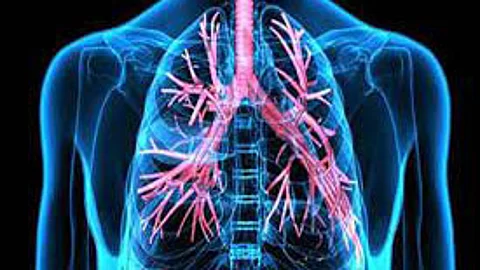 Lung protection is essential to prolong life
