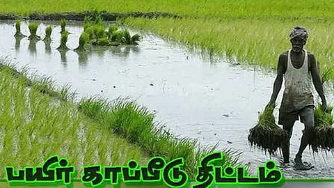 Easy ways to get crop insurance