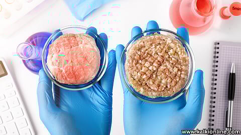 Artificial meat for animals