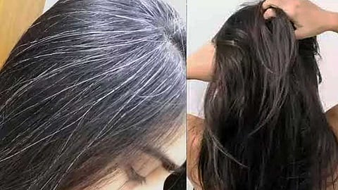 This one leaf is enough to turn gray hair black!