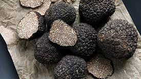 Nutrient given by fungus tuber known as Truffle