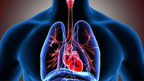 Do you know what foods to eat for lung health?