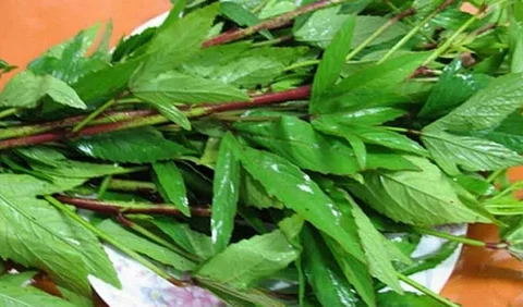 Pulikku Pathilaaga Pulichakeerai