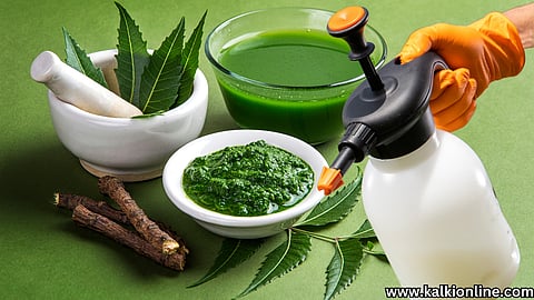 How to make natural insecticide?