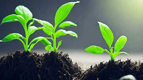 Motivation Image