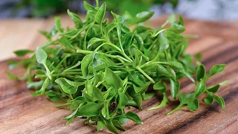 Water Cress