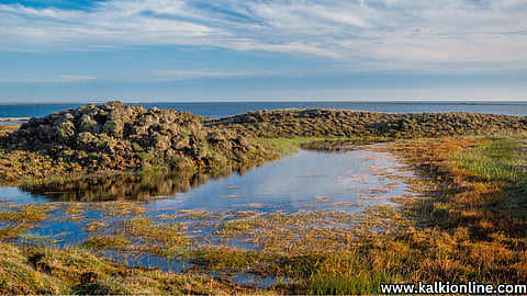 Wetland.